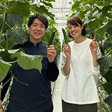 キュウリ栽培未経験でも日本最高レベルの収量を実現！