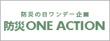 ɺҤǡ ɺ ONE ACTION!