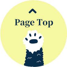 Page Top