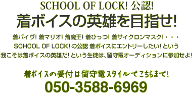 School Of Lock